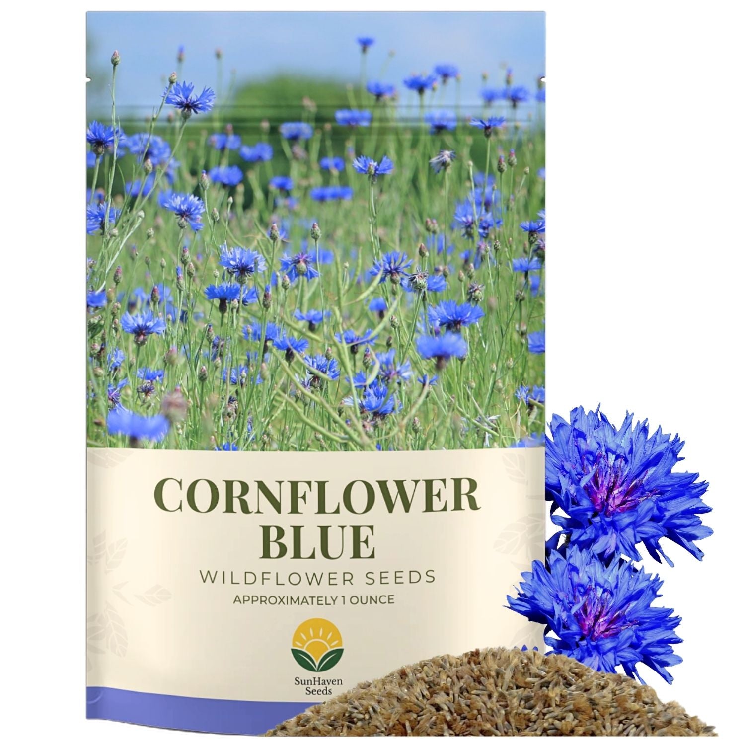 Bachelor Button Seeds – Blue Cornflower – 5,500+ Seeds – 1 oz Bulk Extra Large Resealable Packet – Open-Pollinated Centaurea cyanus Wildflower Seeds