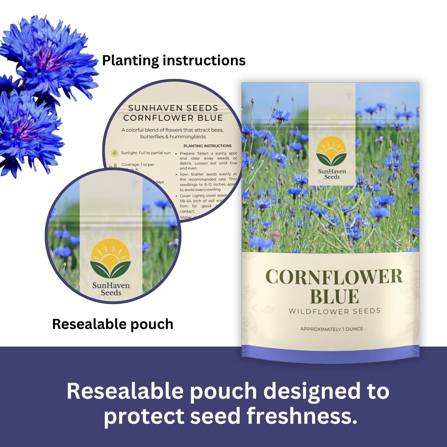 Bachelor Button Seeds – Blue Cornflower – 5,500+ Seeds – 1 oz Bulk Extra Large Resealable Packet – Open-Pollinated Centaurea cyanus Wildflower Seeds