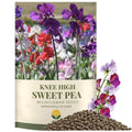 SunHaven Seeds Sweet Pea ‘Knee High’ Flower Seeds – 150+ Seeds – 0.5 oz Large Resealable Packet – Lathyrus odoratus Seeds for Fragrant Pastel Blooms