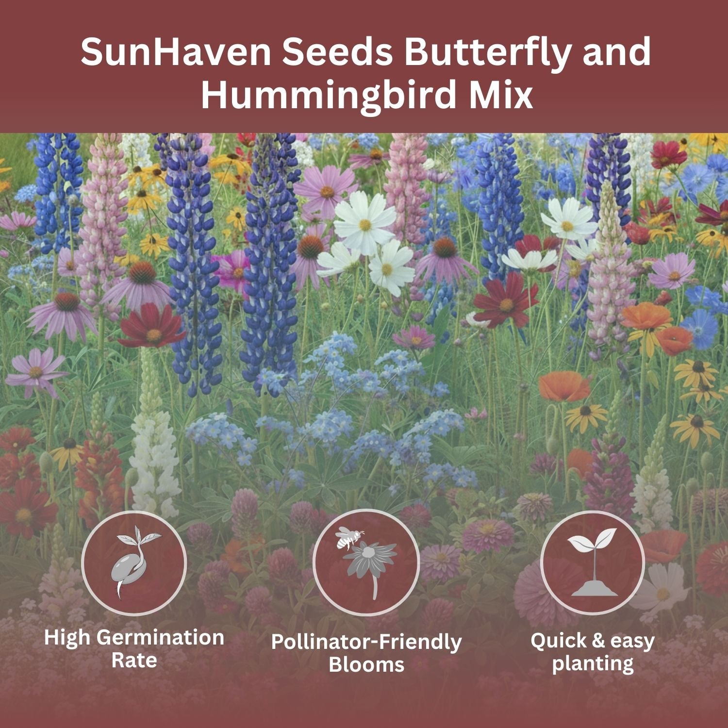 SunHaven Seeds Butterfly and Hummingbird Wildflower Mix – 30,000+ Seeds – 1 oz Bulk Extra Large Resealable Packet – Non-GMO Open Pollinated Wildflower Seeds