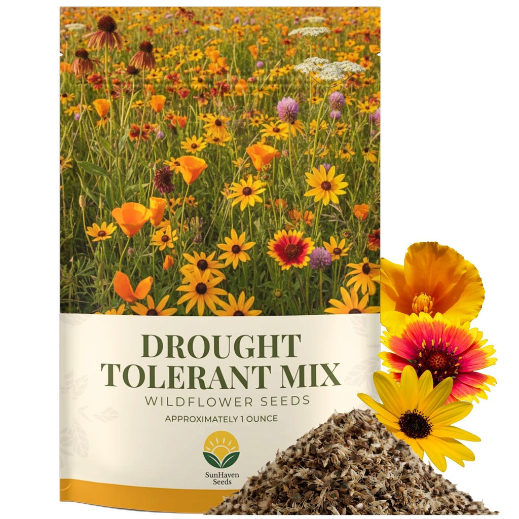 SunHaven Seeds Drought Tolerant Wildflower Mix – 20,000+ Seeds – 1 oz Bulk Extra Large Resealable Packet – Non-GMO Flower Seeds for Dry Climates – Black-Eyed Susan, Coreopsis, California Poppy & More