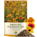 SunHaven Seeds Drought Tolerant Wildflower Mix – 20,000+ Seeds – 1 oz Bulk Extra Large Resealable Packet – Non-GMO Flower Seeds for Dry Climates – Black-Eyed Susan, Coreopsis, California Poppy & More