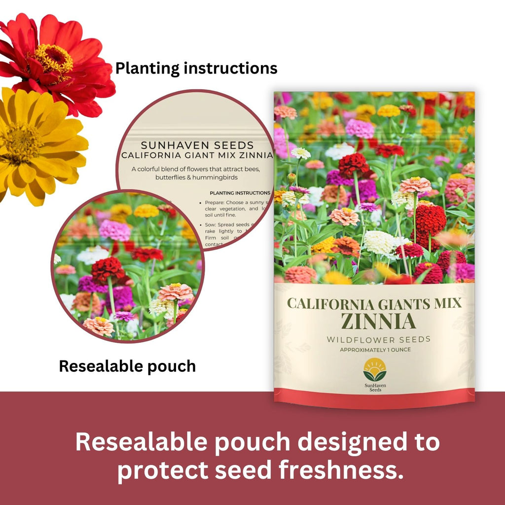 SunHaven Seeds California Giants Zinnia Mix – 4,000+ Seeds – 1 oz Bulk Extra Large Resealable Packet – Premium Heirloom Zinnia elegans Seeds with Giant Blooms in Vibrant Colors