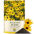 Black Eyed Susan Seeds – 100,000+ Seeds – 1 oz Bulk Extra Large Resealable Packet – Premium Non-GMO Rudbeckia hirta Wildflower Seeds with Bright Yellow Blooms