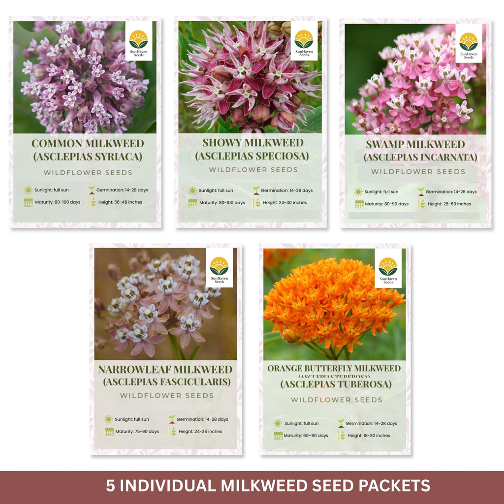 Native Milkweed Seed Variety Pack – 5 Varieties – Monarch Butterfly Garden – Common, Pink Swamp, Orange Butterfly Weed, Showy, & Narrowleaf Asclepias – Non-GMO Pollinator Habitat
