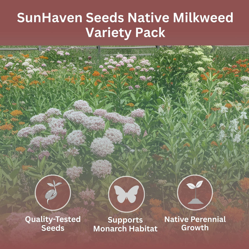 Native Milkweed Seed Variety Pack – 5 Varieties – Monarch Butterfly Garden – Common, Pink Swamp, Orange Butterfly Weed, Showy, & Narrowleaf Asclepias – Non-GMO Pollinator Habitat