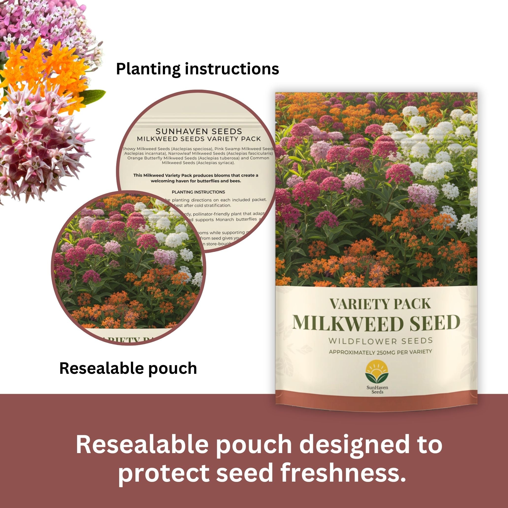 Native Milkweed Seed Variety Pack – 5 Varieties – Monarch Butterfly Garden – Common, Pink Swamp, Orange Butterfly Weed, Showy, & Narrowleaf Asclepias – Non-GMO Pollinator Habitat