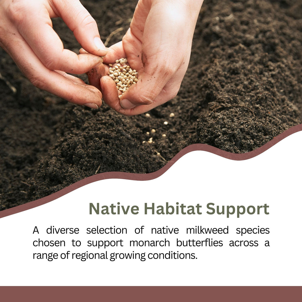 Native Milkweed Seed Variety Pack – 5 Varieties – Monarch Butterfly Garden – Common, Pink Swamp, Orange Butterfly Weed, Showy, & Narrowleaf Asclepias – Non-GMO Pollinator Habitat