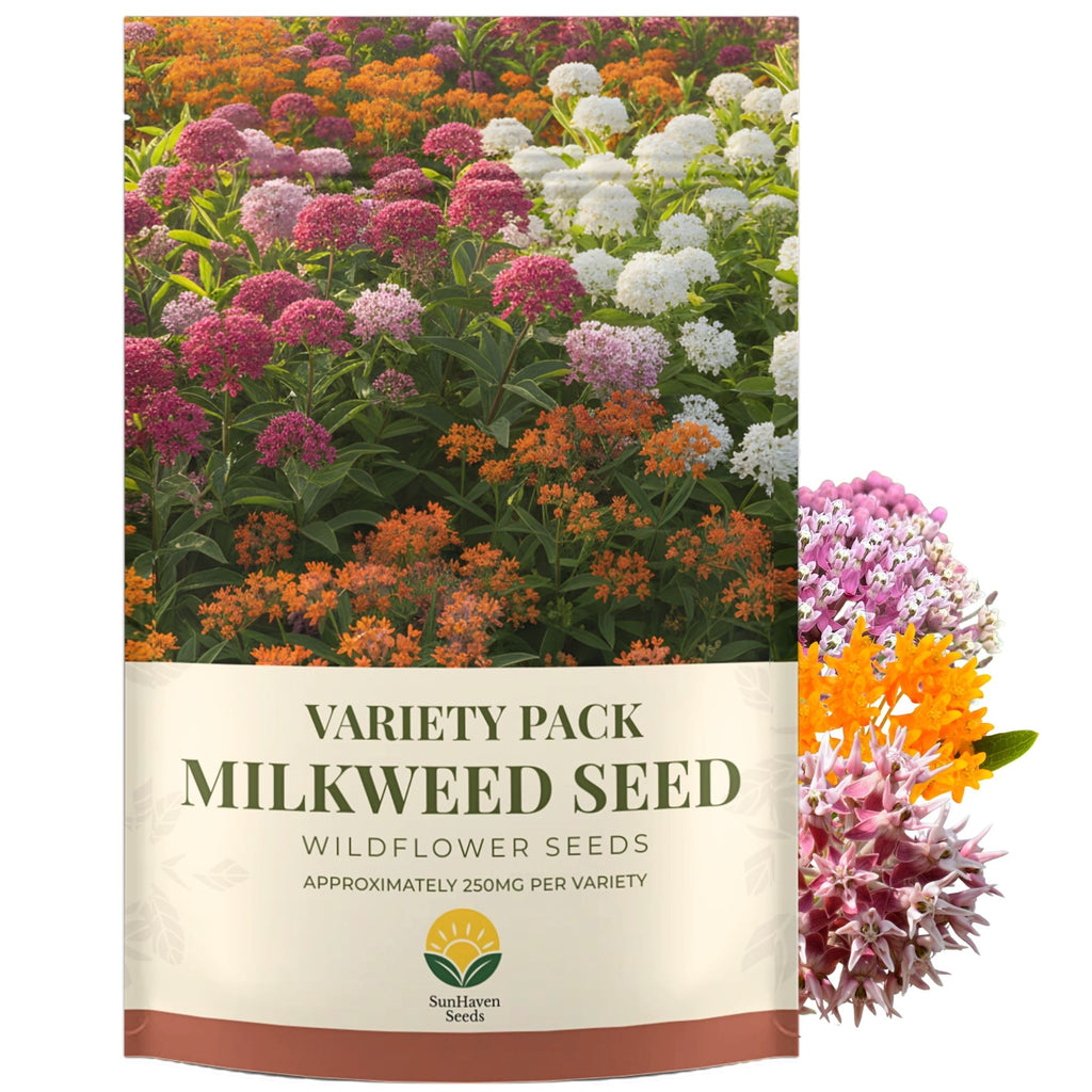 Native Milkweed Seed Variety Pack – 5 Varieties – Monarch Butterfly Garden – Common, Pink Swamp, Orange Butterfly Weed, Showy, & Narrowleaf Asclepias – Non-GMO Pollinator Habitat