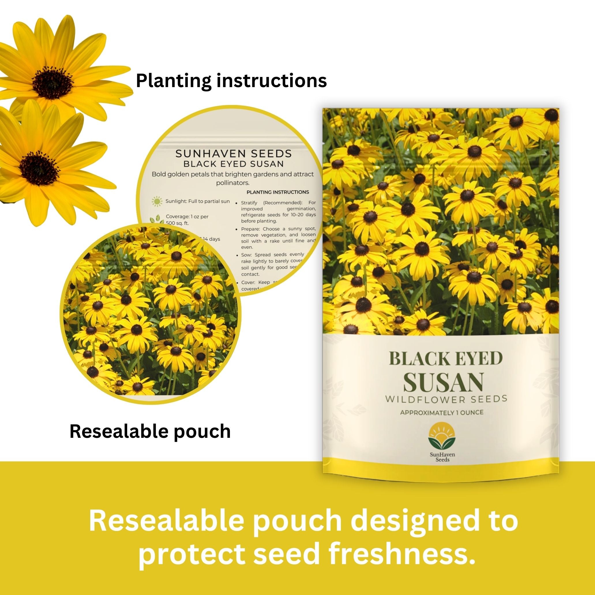 Black Eyed Susan Seeds – 100,000+ Seeds – 1 oz Bulk Extra Large Resealable Packet – Premium Non-GMO Rudbeckia hirta Wildflower Seeds with Bright Yellow Blooms